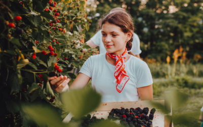 Spend Quality Time With Your Loved Ones With These Fun Outdoor Activities