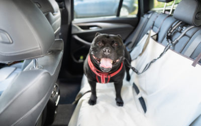 How To Keep Your Vehicle Organized