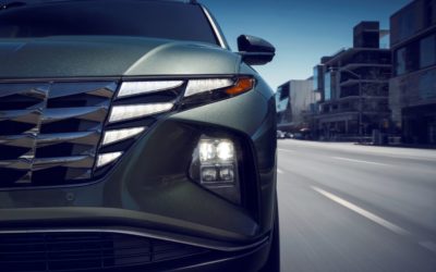 Choose The Right Trim For Your Car