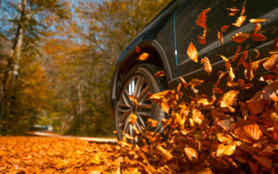 Fall Maintenance Essentials
